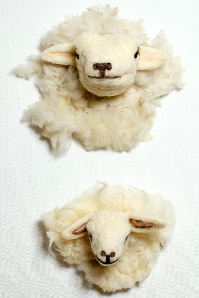 Texelse schapen